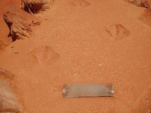 Dinosour Footprints