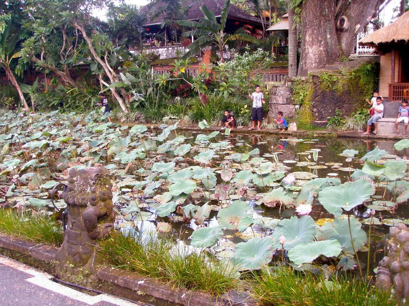 Kids fishing in the temple pond