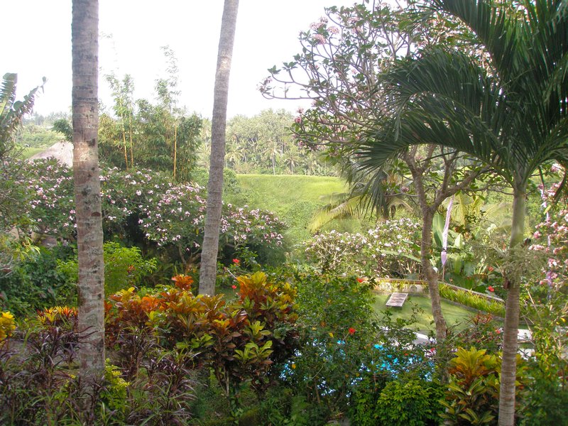 Garden at hotel in Ubud