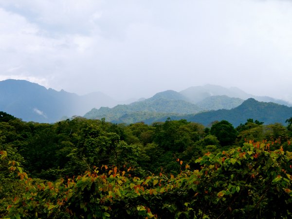 Taman Nasional Bali Barat - Bali National Park | Photo