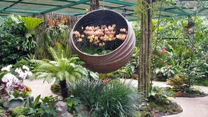Singapore Botanical Gardens - Orchid Garden