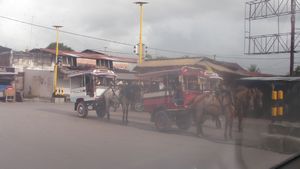 Sumbawa Horse drawn carriage