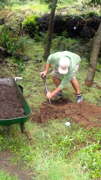 John Planting his Sneezewood Tree