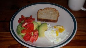 Delicious Breakfast - Avocado & tomato