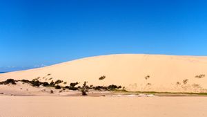Bazarato Island Dunes