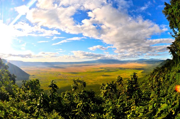 Overlooking Ngorongoro Crater