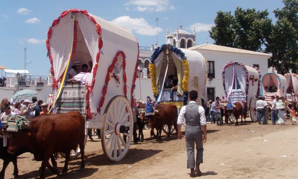 Many covered wagons from the pilgrimage