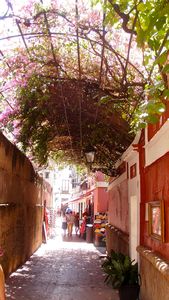 Streets of Seville