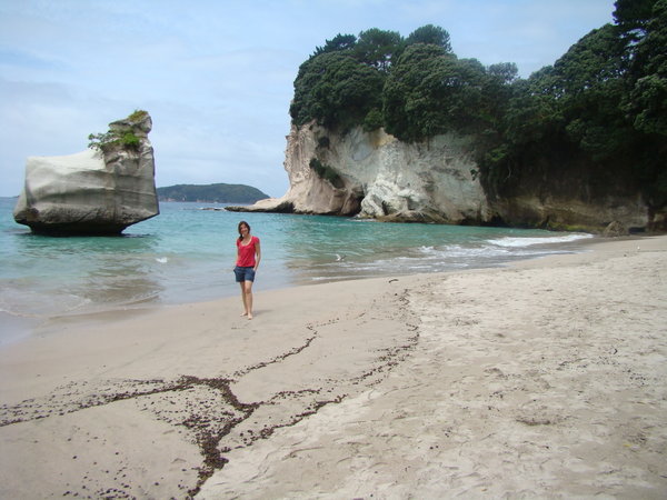 Cathedral Cove beach
