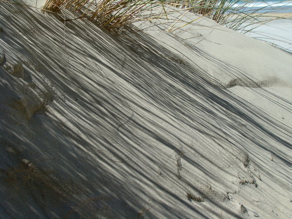Dune shadow
