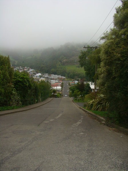 The steepest street in the world - 1 in 2.8 - Dunedin