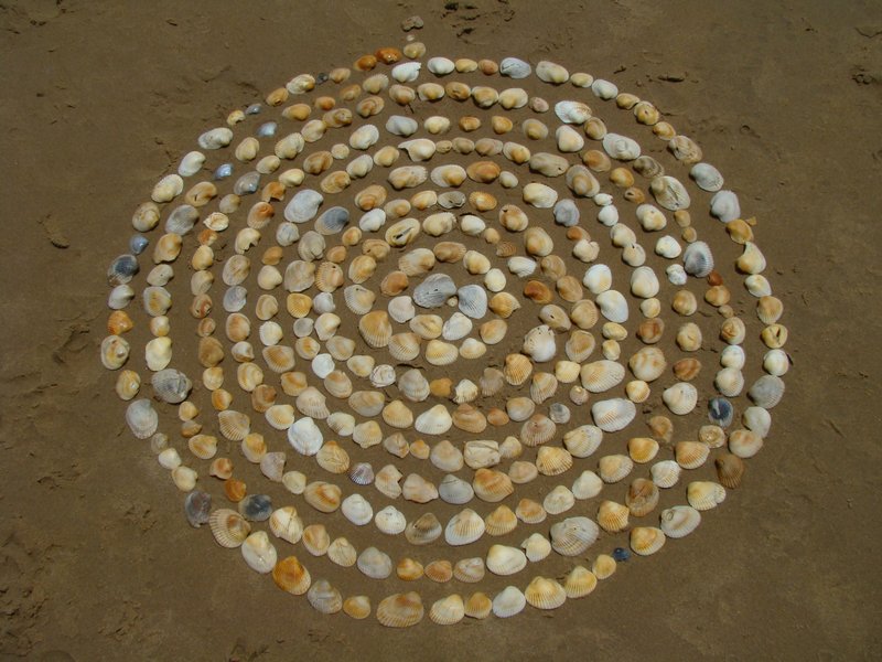 Shell spiral - Hervey Bay