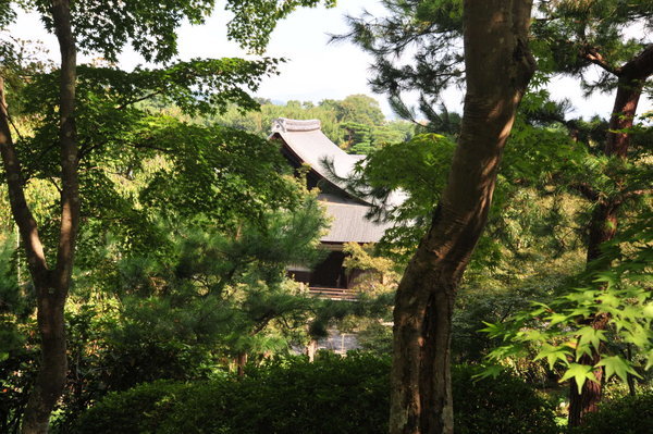 The grounds of Tenryu-ji Temple