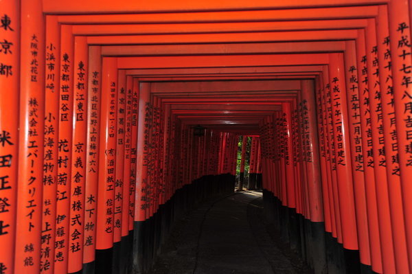 The inside of the toriis at Fushimi Inari Shrine