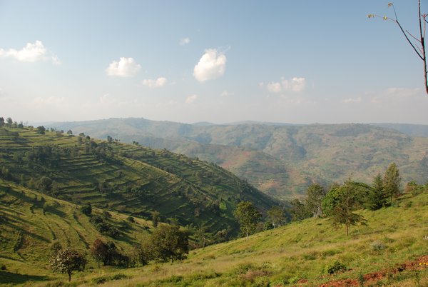 Rwanda countryside