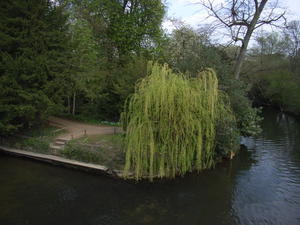 View from Magdalen Bridge