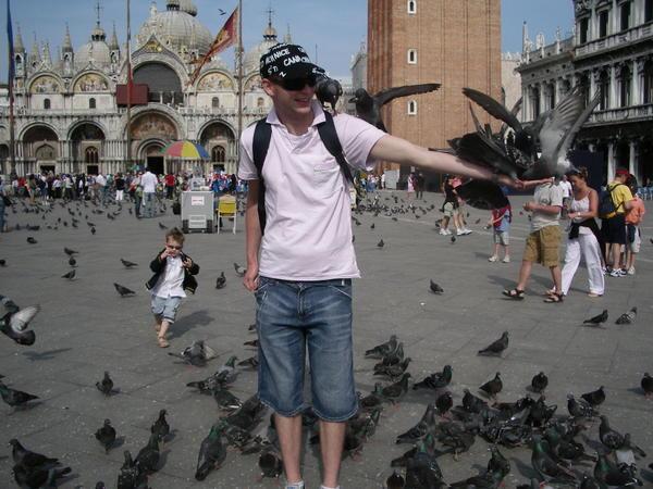 Venice - The Birds are back