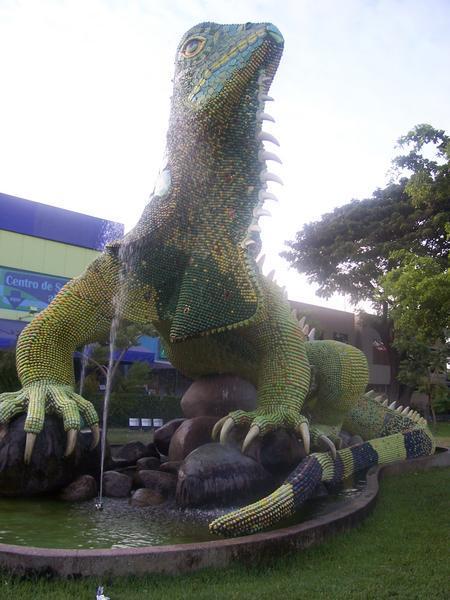 The biggest iguana in Guayaquil.  (or possibly anywhere)