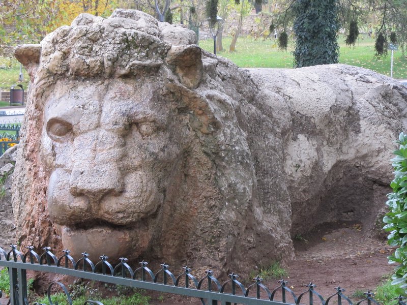 lion in Ifrane