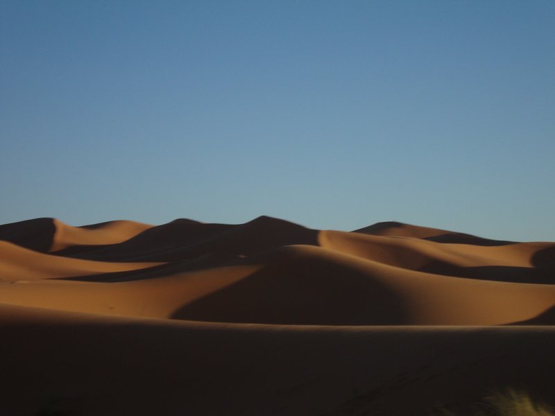 The dunes