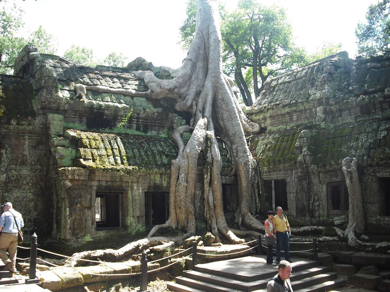 Tomb Raider temple at Angkor Wat (12)