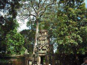 Angkor Wat (64)