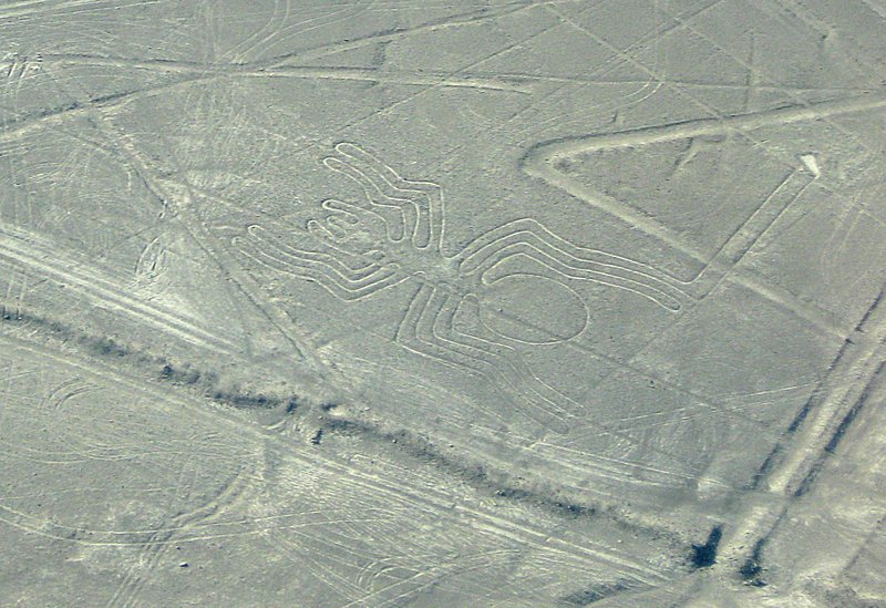 039 IMG 0898 Nazca Lines - The Spider