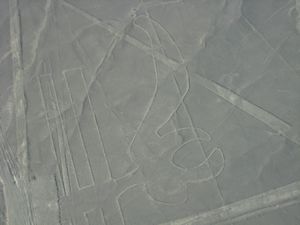 043 IMG 0908 Nazca Lines - The Parrot