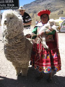 Inka Express - Cusco to Puno - La Raya