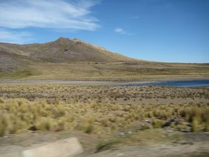 Inka Express - Cusco to Puno - Flamingoes (Honest)