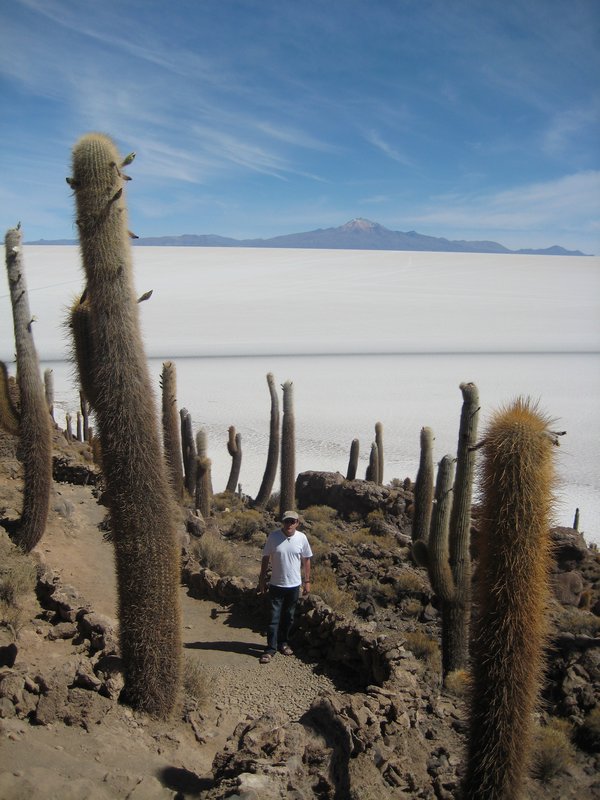 19 Salar de Uyuni - Inka Was i(Cactus Island)