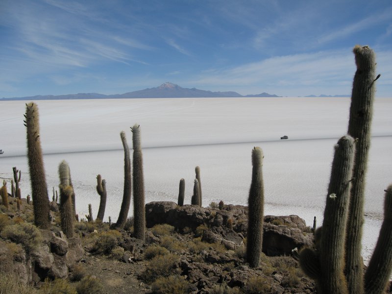 18 Salar de Uyuni - Inka Was i(Cactus Island)