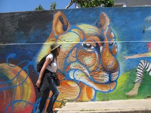 36 Valparaiso - Street Art