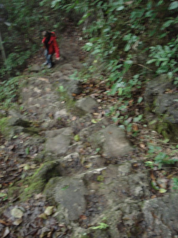 hiking downhill