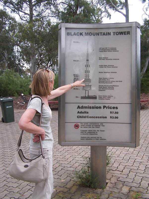 Tower on Black Mountain