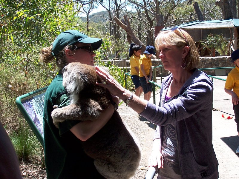 Maureen meets Koala