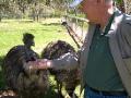Mike feeding Emu