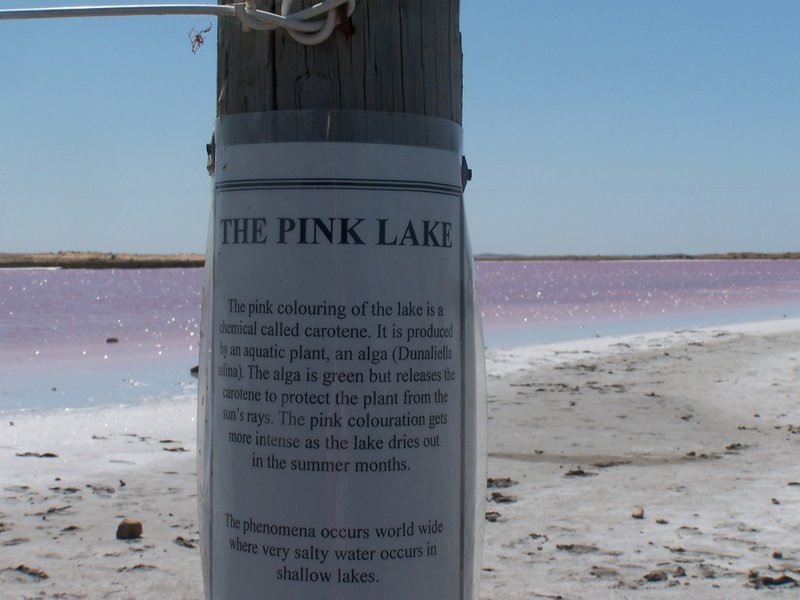 Pink Lake Post