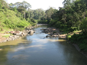 Danum Valley river