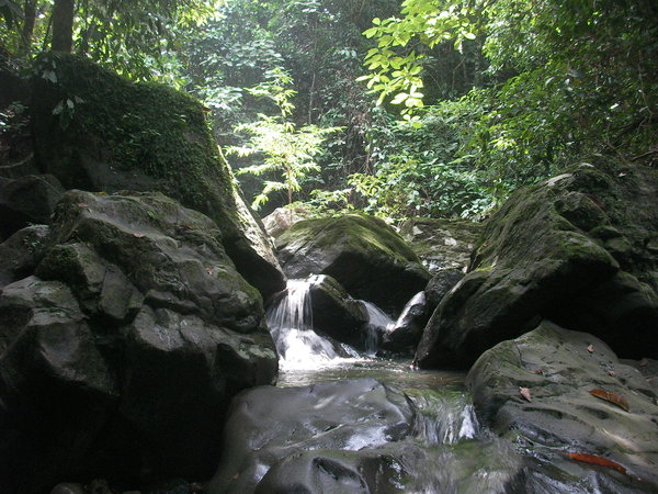 Waterfalls on the LFE Stream
