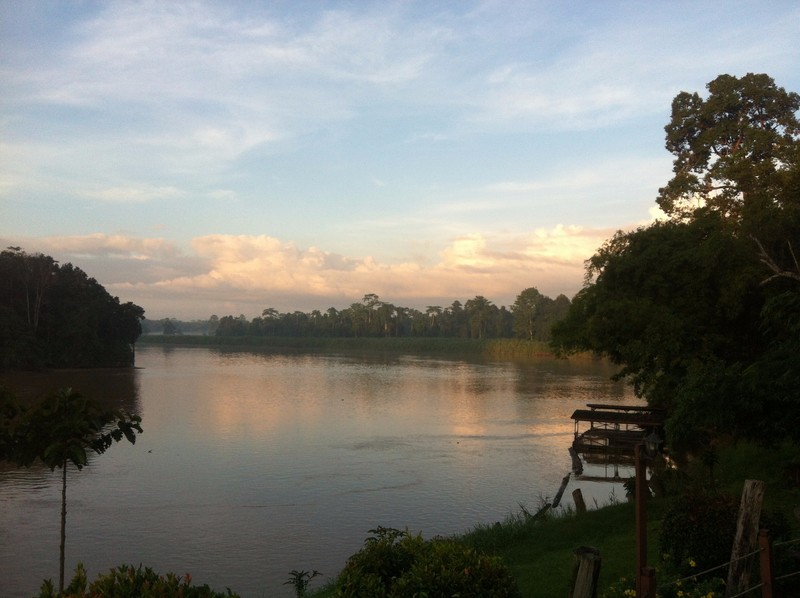 Kinabatangan River at daybreak