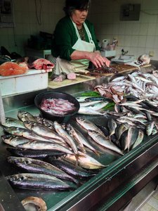 Fish at the Mercado de Bolhão