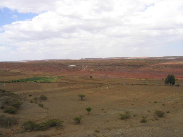African Plains