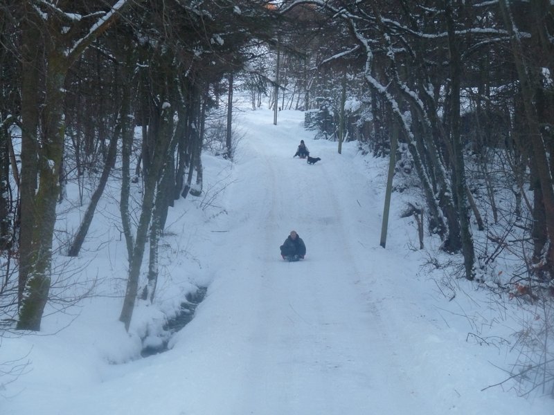 Gordon and Maggie sledging