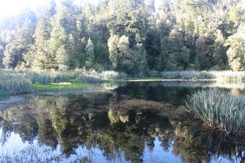 Reflections in Lake Mathieson