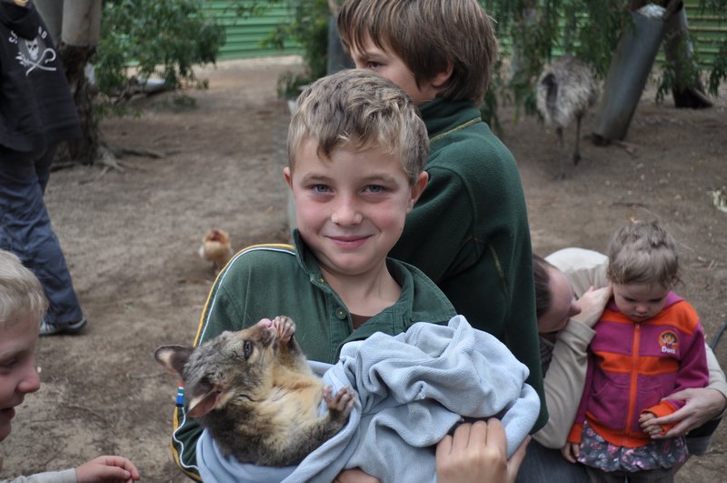 2 William holds orphan possum