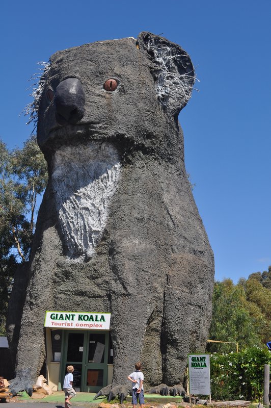 b42 A giant koala, en route to the Grampians, also seriously damaged by the flood (the inside was flooded and today stands empty, the koalas moved to 