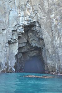 21. Misty Cave, Bruny Island