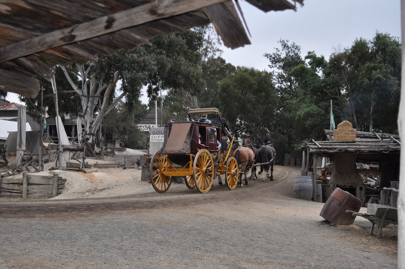 13. Sovereign Hill - horse and carriage