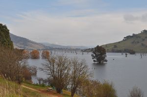 63. Tallangatta - where the tree still stands once stood a town